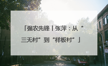 强农先锋丨张萍：从“三无村”到“样板村”