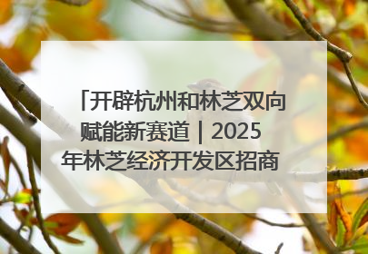 开辟杭州和林芝双向赋能新赛道｜2025年林芝经济开发区招商引资（杭州）推介展销活动在杭举办