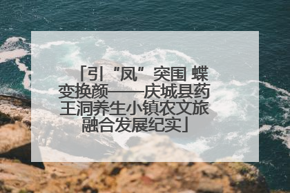 引“凤”突围 蝶变换颜——庆城县药王洞养生小镇农文旅融合发展纪实