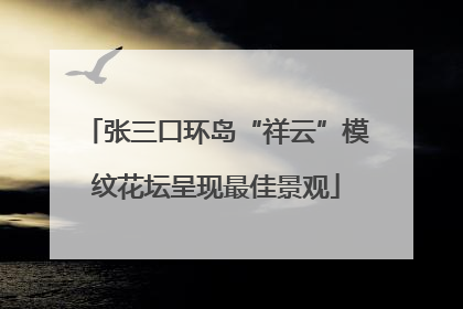张三口环岛“祥云”模纹花坛呈现最佳景观