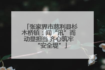 张家界市慈利县杉木桥镇：闻“汛”而动显担当 齐心筑牢“安全堤”