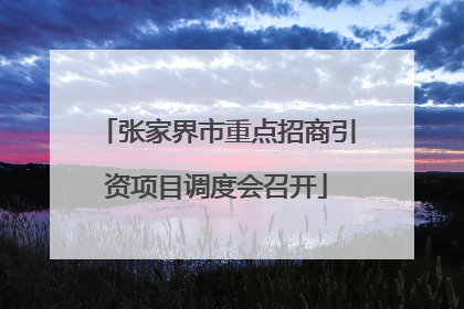张家界市重点招商引资项目调度会召开