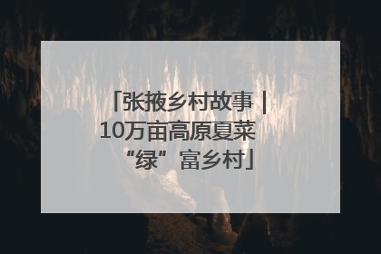 张掖乡村故事｜10万亩高原夏菜“绿”富乡村