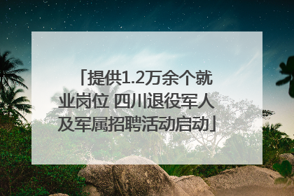 提供1.2万余个就业岗位 四川退役军人及军属招聘活动启动