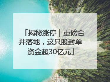 揭秘涨停｜重磅合并落地，这只股封单资金超30亿元