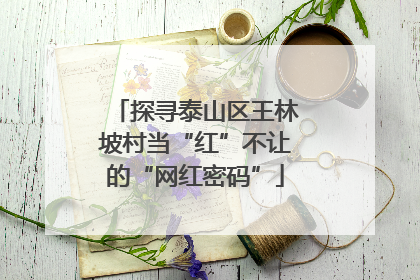 探寻泰山区王林坡村当“红”不让的“网红密码”