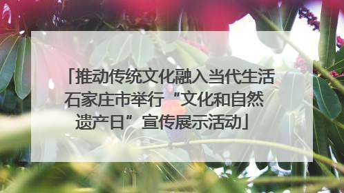 推动传统文化融入当代生活 石家庄市举行“文化和自然遗产日”宣传展示活动