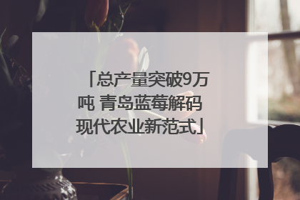 总产量突破9万吨 青岛蓝莓解码现代农业新范式