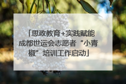 思政教育+实践赋能 成都世运会志愿者“小青椒”培训工作启动