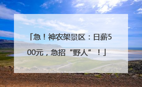 急！神农架景区：日薪500元，急招“野人”！
