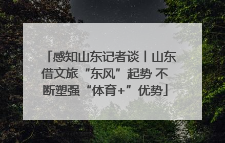 感知山东记者谈丨山东借文旅“东风”起势 不断塑强“体育+”优势