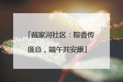 戴家河社区：粽香传廉意，端午共安康