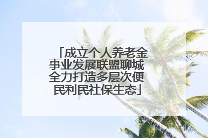 成立个人养老金事业发展联盟聊城全力打造多层次便民利民社保生态