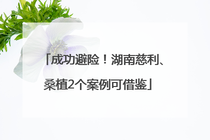 成功避险！湖南慈利、桑植2个案例可借鉴