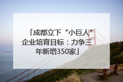 成都立下“小巨人”企业培育目标：力争三年新增350家
