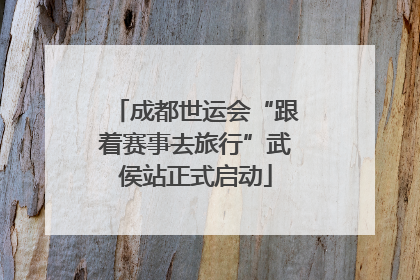 成都世运会“跟着赛事去旅行”武侯站正式启动