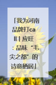 我为河南品牌打call丨应旺：品味“毛尖之都”的诗意栖居