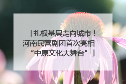 扎根基层走向城市！河南民营剧团首次亮相“中原文化大舞台”