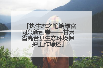 执生态之笔绘绿富同兴新画卷——甘肃省高台县生态环境保护工作综述