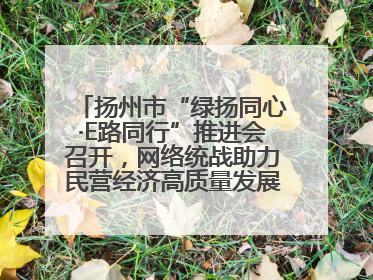 扬州市“绿扬同心·E路同行”推进会召开，网络统战助力民营经济高质量发展行动启动