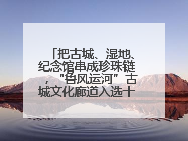把古城、湿地、纪念馆串成珍珠链，“鲁风运河”古城文化廊道入选十大最美农村路