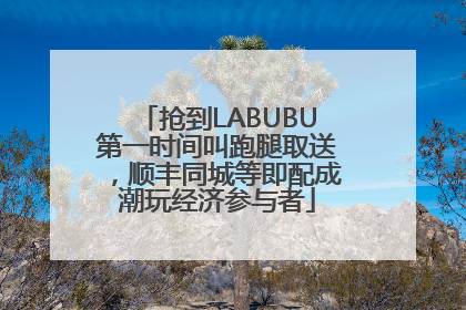 抢到LABUBU第一时间叫跑腿取送，顺丰同城等即配成潮玩经济参与者