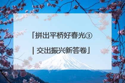 拼出平桥好春光③｜交出振兴新答卷