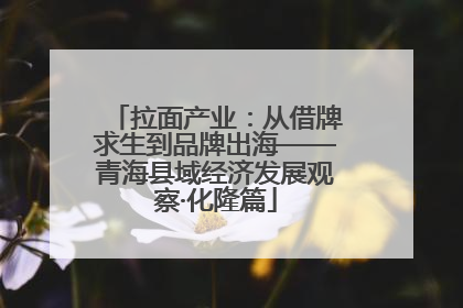 拉面产业：从借牌求生到品牌出海——青海县域经济发展观察·化隆篇