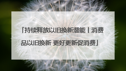 持续释放以旧换新潜能丨消费品以旧换新 更好更新促消费