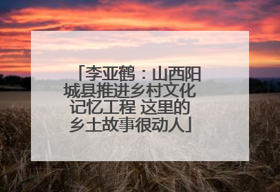 李亚鹤：山西阳城县推进乡村文化记忆工程 这里的乡土故事很动人