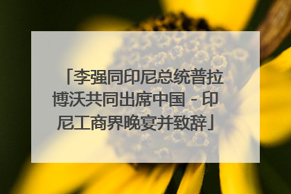 李强同印尼总统普拉博沃共同出席中国－印尼工商界晚宴并致辞
