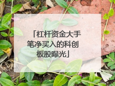 杠杆资金大手笔净买入的科创板股曝光