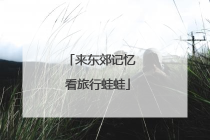 来东郊记忆 看旅行蛙蛙