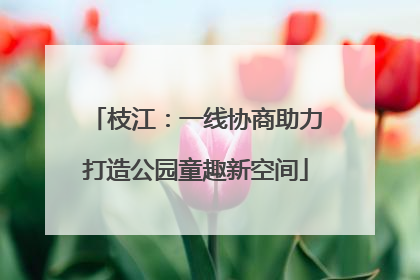 枝江：一线协商助力打造公园童趣新空间