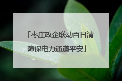 枣庄政企联动百日清障保电力通道平安