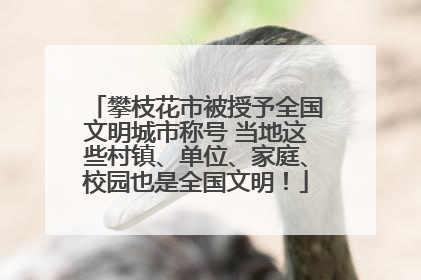 攀枝花市被授予全国文明城市称号 当地这些村镇、单位、家庭、校园也是全国文明！