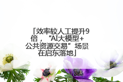 效率较人工提升9倍，“AI大模型+公共资源交易”场景在启东落地