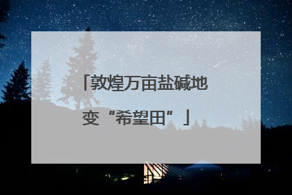 敦煌万亩盐碱地变“希望田”