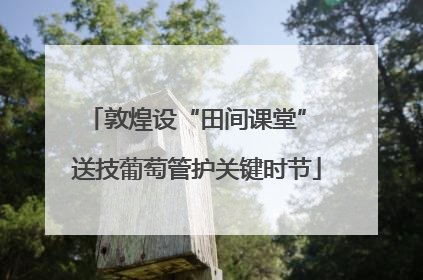 敦煌设“田间课堂” 送技葡萄管护关键时节