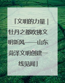 文明的力量｜牡丹之都吹拂文明新风——山东菏泽文明创建一线见闻