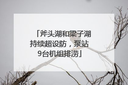 斧头湖和梁子湖持续超设防，泵站9台机组排涝