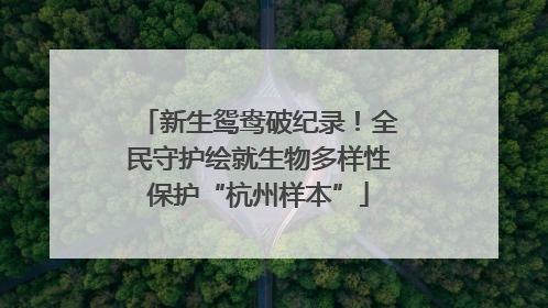 新生鸳鸯破纪录！全民守护绘就生物多样性保护“杭州样本”