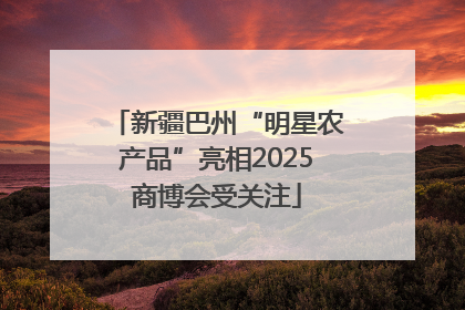新疆巴州“明星农产品”亮相2025商博会受关注