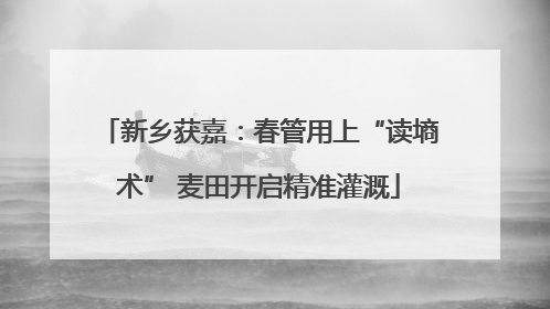新乡获嘉：春管用上“读墒术” 麦田开启精准灌溉
