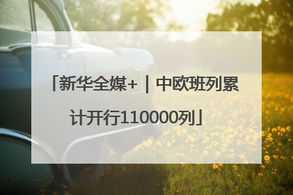 新华全媒+｜中欧班列累计开行110000列