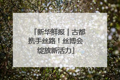 新华鲜报｜古都携手丝路！丝博会绽放新活力