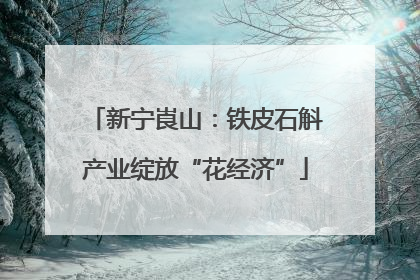 新宁崀山：铁皮石斛产业绽放“花经济”