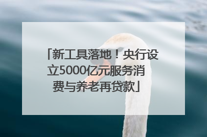 新工具落地！央行设立5000亿元服务消费与养老再贷款