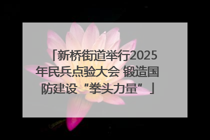 新桥街道举行2025年民兵点验大会 锻造国防建设“拳头力量”