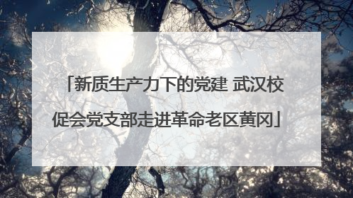 新质生产力下的党建 武汉校促会党支部走进革命老区黄冈